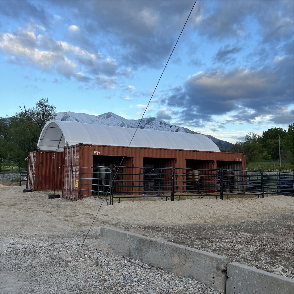 CONTAINER HORSE STALLS W. BREEZWAY